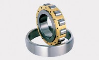 Single Row Cylindrical Roller Bearings